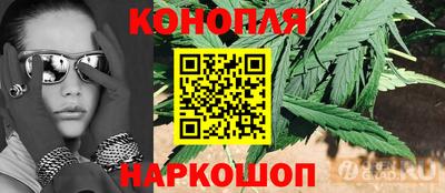 гидропоника Дубна