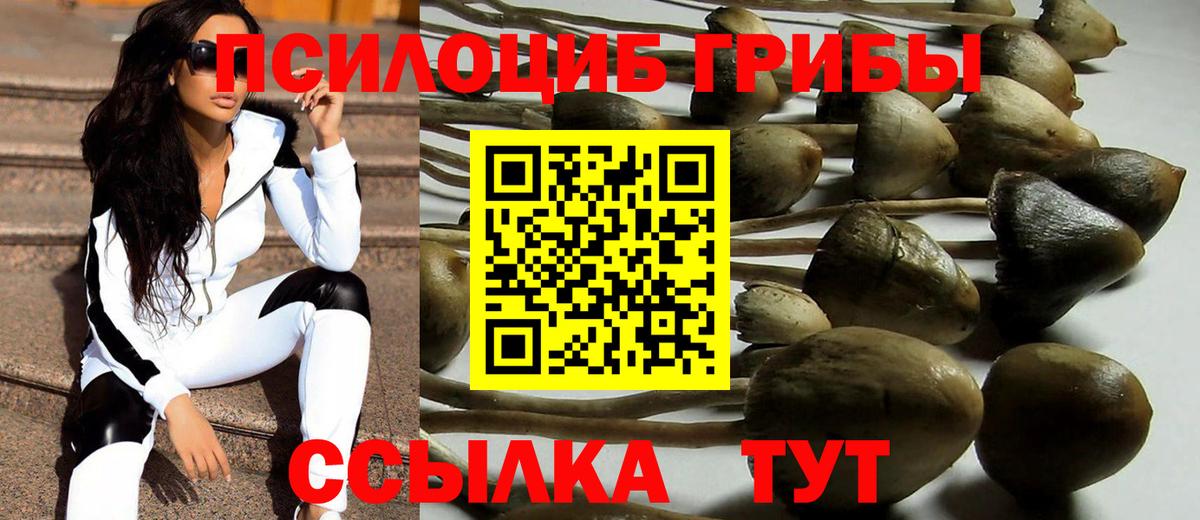 Псилоцибиновые грибы Cubensis Серов